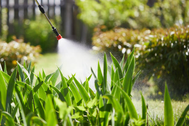 24/7 Emergency Mosquito Control experts in Park Falls, WI