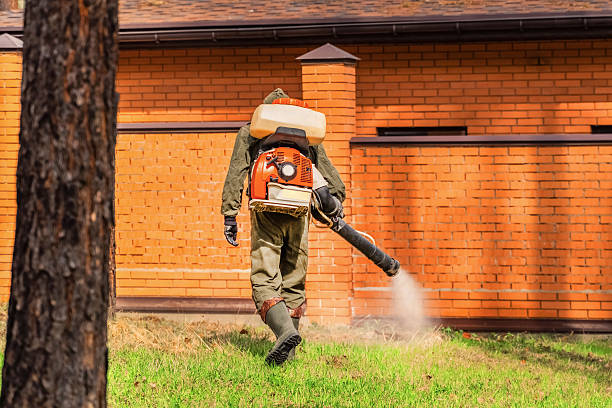Top rated local Mosquito Control specialists in Park Falls, WI